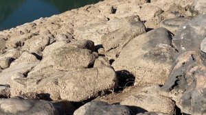 ПОЕХАЛИ С ПОДРУЖКАМИ НА ПИКНИК ЗА ГОРОД  ЗАСНЕЖЕННЫЕ ВЕРШИНЫ И ОЗЕРА АНТАЛИИ | АРИНА БЕЛАЯ