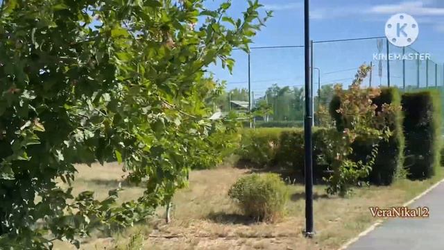 Влог.Адамовка.НЕ ПИЛИТЕ АЛЛЕЮ ВОЗЛЕ БОЛЬНИЦЫ. А в парке есть ХОЗЯИН -по зову души! Благоустройство смотреть онлайн