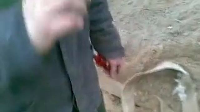 уралтрансстрой леонидыч жжет