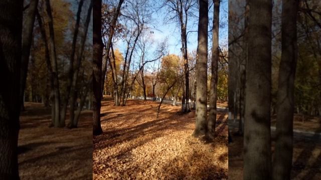 Красивая Управа. смотреть онлайн