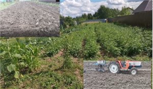 Вспашка огорода осенью. Ошибка при осенней вспашке огорода.