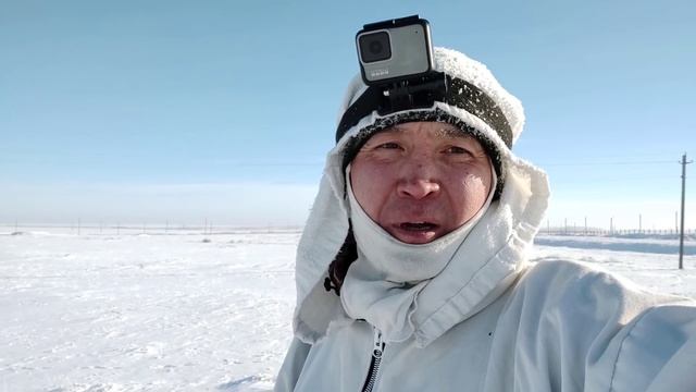 Охта на зайца русака в отвале. смотреть онлайн