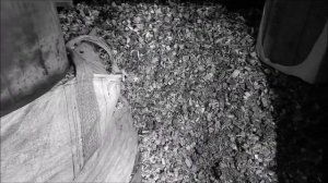 Отопление на самом дешёвом твердом топливе - щепе. Heating on the cheapest solid fuel - wood chips!