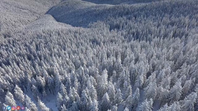 Лечебная музыка для сердца и сосудов! Самая красивая мелодия в мире! Эту музыку можно слушать вечно смотреть онлайн