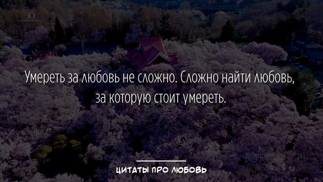 ♡ Красивые цитаты про любовь | Цитаты про любовь и жизнь со смыслом