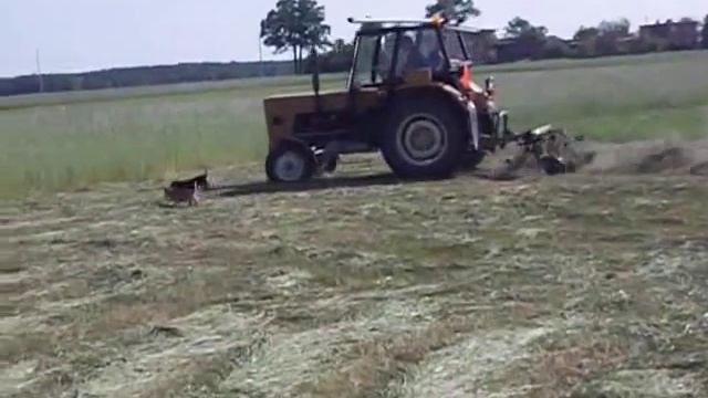 Akcja Siano 2011 смотреть онлайн