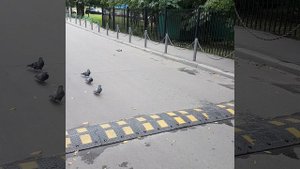 Ленинский проспект, выход из метро