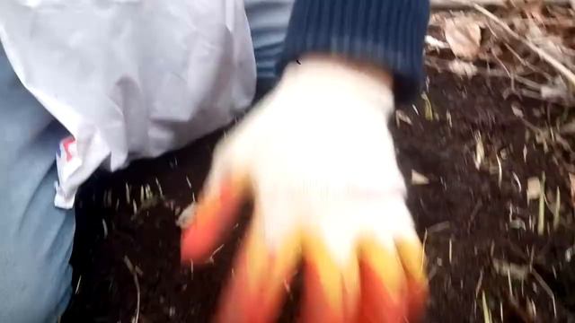 черемша смотреть онлайн