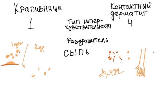 Крапивница или контактный дерматит? Крапивница. Контактный дерматит. Сыпь.