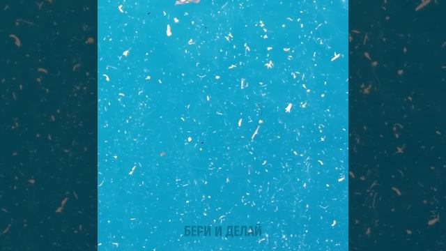 ГЕНИАЛЬНЫЕ ЛАЙФХАКИ С ЗУБНОЙ ПАСТОЙ || Рандомные лайфхаки, которые спасут ситуацию смотреть онлайн