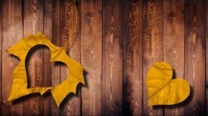 Курс "Тело Творение за 21 день". Автор lee. День 3