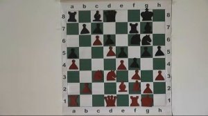 16. Староиндийская защита. Корчной-Каспаров (1991)