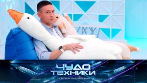 Гуси-обнимуси, стоматология во сне и тест терморегулятора | «Чудо техники»