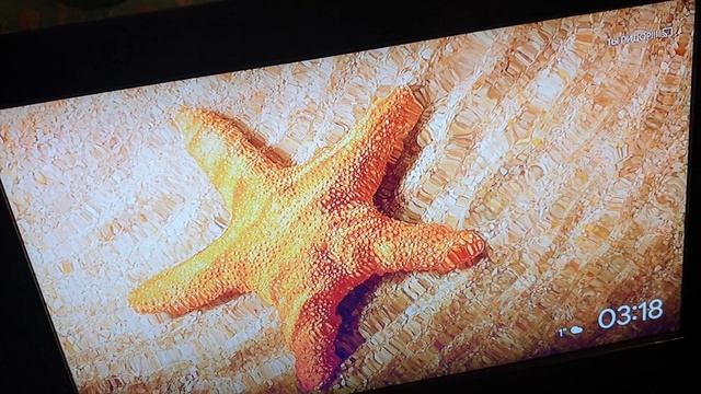 Philips 26pfl7332 смотреть онлайн