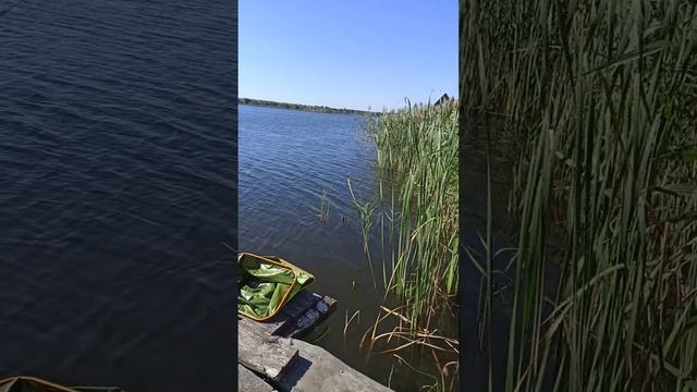 закинув Резинку смотреть онлайн