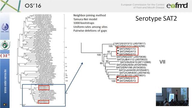 Detection and molecular characterization of FMD viruses from outbreaks (...) - A. De Vleeschauwer смотреть онлайн