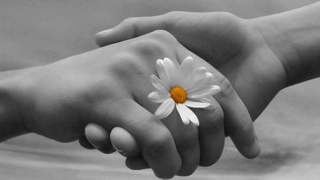 Для любимого Давидушки. смотреть онлайн