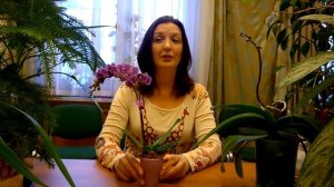 ФУНДАЗОЛ  ДЛЯ  ОРХИДЕЙ  _ ВРЕД  ИЛИ  ПОЛЬЗА _