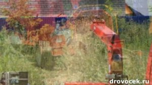 Измельчитель веток Skorpion 160-SD