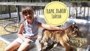 Парк Львов Тайган  Часть 2 Честный обзор  Общение с тиграми  Кормление животных