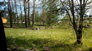 Финский Хутор