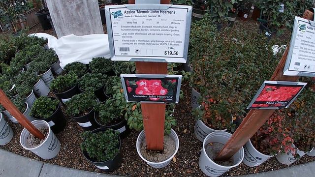 Чем закончилось очередное посещение Питомника растений 💚