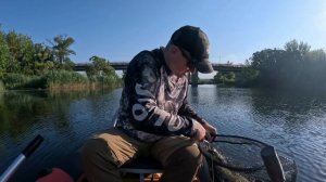 Сплав по реке Сейм. Ловля жереха на поверхностные приманки.