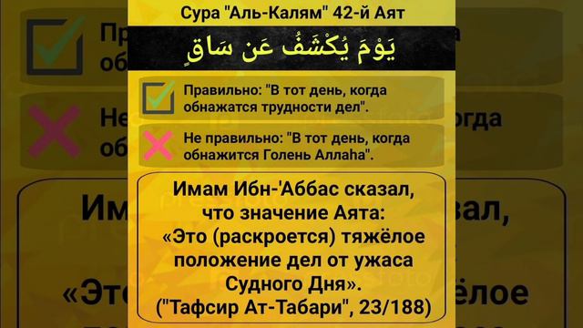 Сильный нашид - Далил. смотреть онлайн