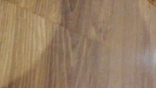 #кот#звезда #угадайкто #новенький #зверюшки #игра#мышка смотреть онлайн