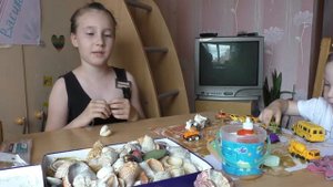 Подарок сувенир из морских ракушек. Делаем сами.