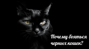 Почему люди до сих пор боятся черных кошек? Раскрываем тайны древних поверий и суеверий! #кот