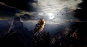 ПРИДИТЕ В СЕБЯ…ВЕДЬМИНА ИЗБА ИНГА ХОСРОЕВА.mp4