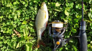 Мормышинг. Черневские пруды 25 мая 2024 года