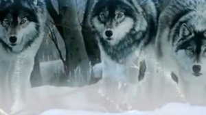 В зоне   Андрей Климнюк