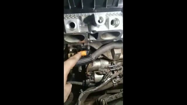 Focus 2.0 duratech falhando cilindro смотреть онлайн