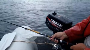 Бухта Тихая рыбалка 15062014