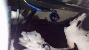 Газель некст. Сигнал заднего хода.