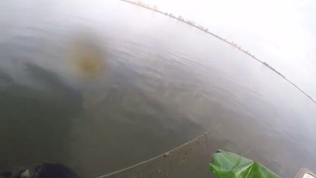 Сети смотреть онлайн