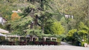 27 октября 2022 г Абхазия/Погода осенью в Абхазии?☀️?/Отдых в Абхазии в Бархатный сезон/Гагра??/