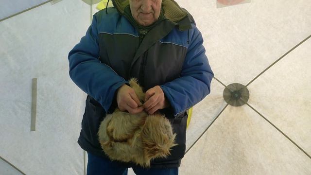 18 января 2024 г. смотреть онлайн