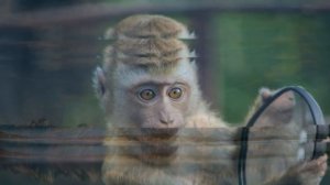 Приметы и поверья о зеркалах: как покупать, как избавиться от старого и что делать, если разбилось