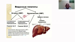 Школа клинического мышления педиатра. Лекция: Борзакова С.Н. Хронические вирусные гепатиты у детей