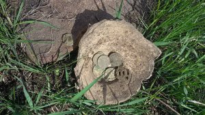 Первый коп сезона.