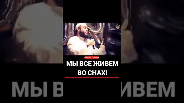 МЫ ВСЕ ЖИВЁМ В СНАХ! смотреть онлайн