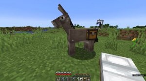 Horses, Donkeys, Mules & Leads! ▫ Minecraft Survival Guide (1.18 Tutorial Let's Play) [S2 Ep.20]