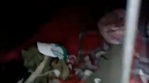 Падение дерева