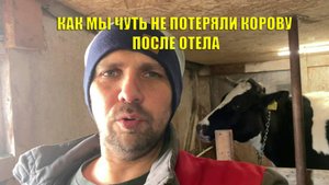 Проблемы после отела, сложный новотел 2 часть #korovazdorova