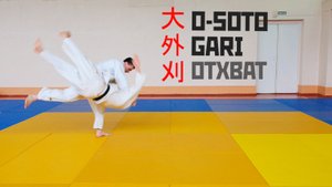 O SOTO GARI / Отхват / 大外刈