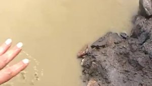 Добыча россыпного золота 10 (работа землесоса, ГЭПа борьба с разубоживанием и за воду)