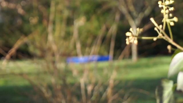 Sony SLT-A58 video test with 18-55mm kit lens. смотреть онлайн